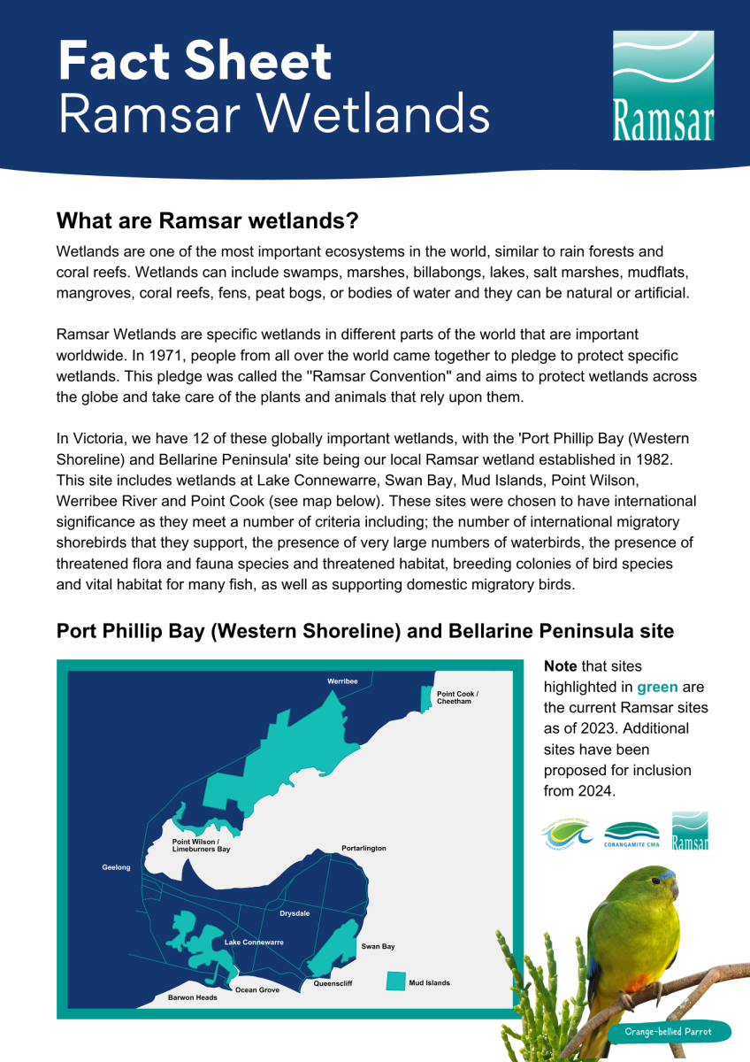 fact sheet, ramsar sites