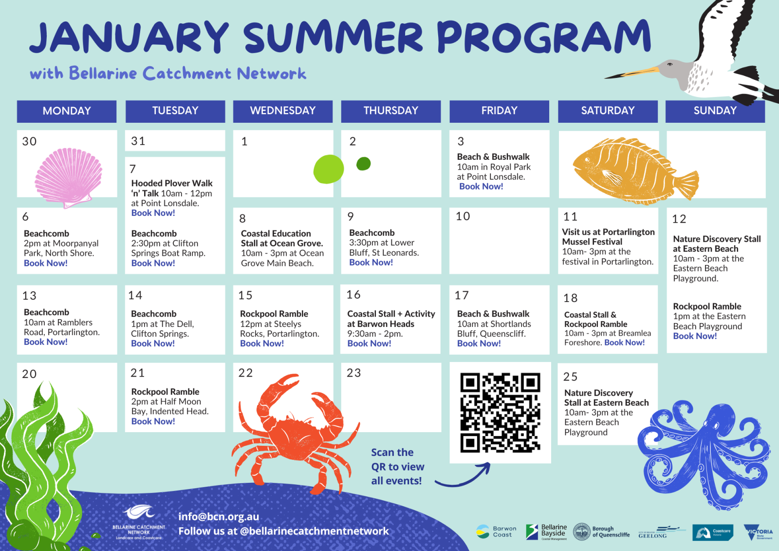 january summer program