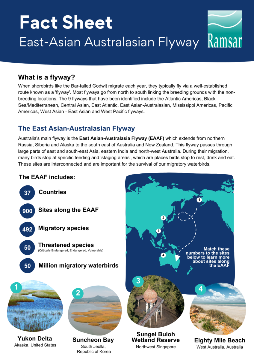 ramsar fact sheet eaaf